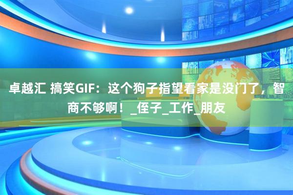 卓越汇 搞笑GIF：这个狗子指望看家是没门了，智商不够啊！_侄子_工作_朋友