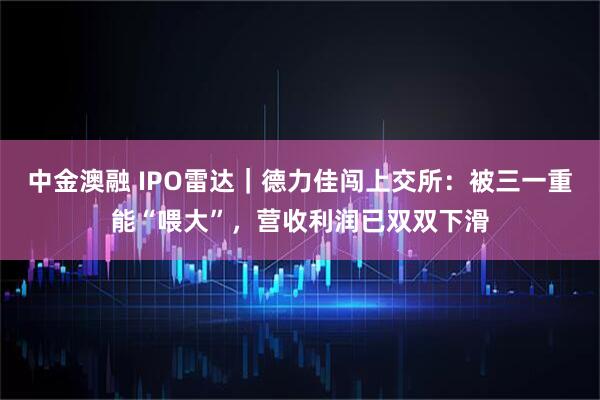 中金澳融 IPO雷达｜德力佳闯上交所：被三一重能“喂大”，营收利润已双双下滑
